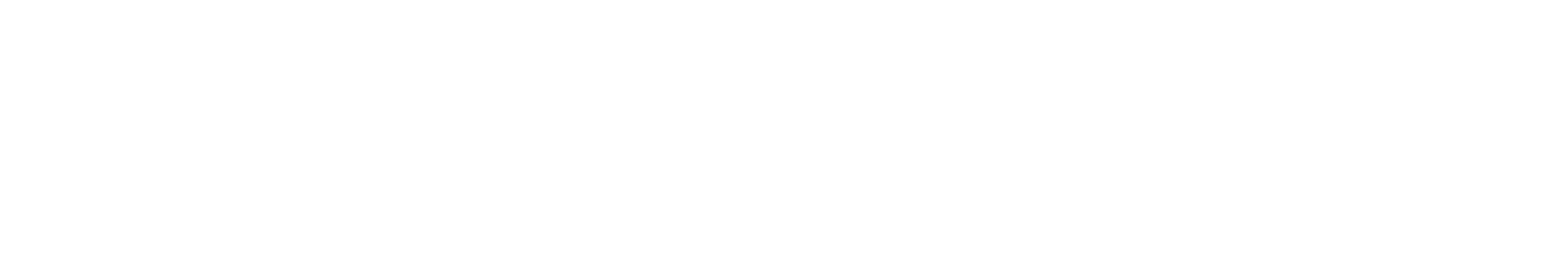 Euler Logo